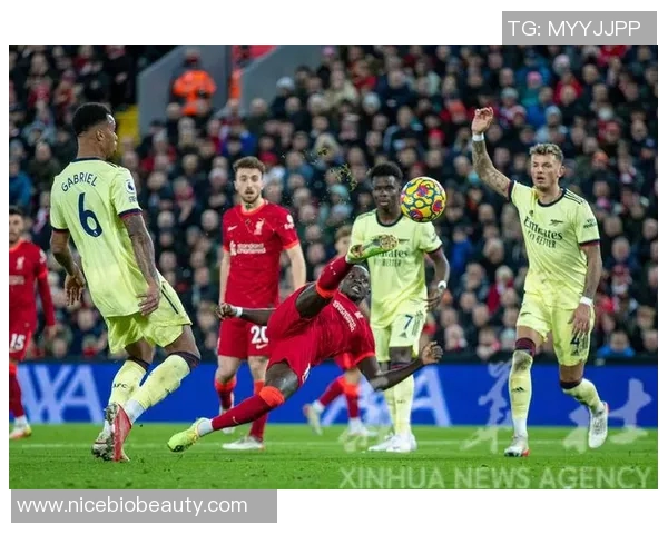 11月24号阿仙奴对决强敌期待精彩比赛与球迷激情共鸣