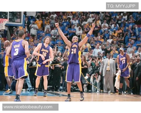 2005年NBA总决赛热火与太阳的巅峰对决与传奇时刻回顾