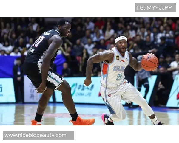 2013年北京与新疆总决赛精彩回顾与赛季亮点分析 2013年北京与新疆总决赛精彩回顾与赛季亮点分析