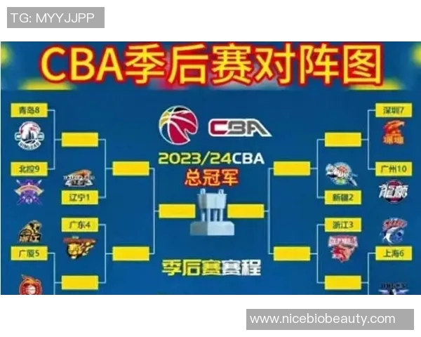 2017年CBA天津队对阵广东队精彩回顾与赛后分析