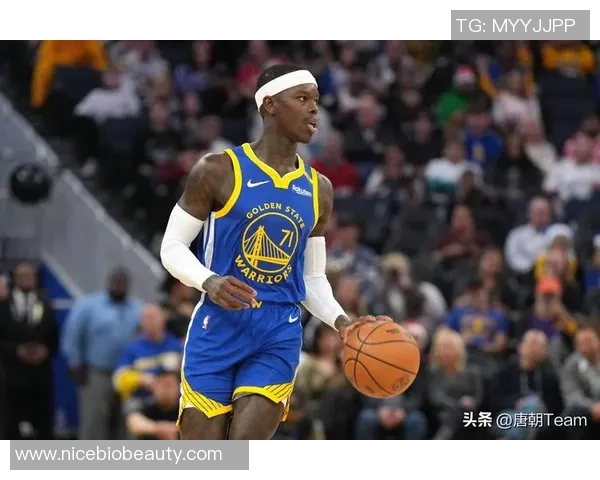 丹尼斯施罗德的篮球之路与未来发展展望